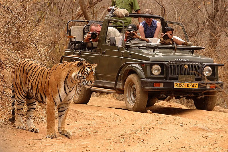 Chittorgarh Fort Fortresses