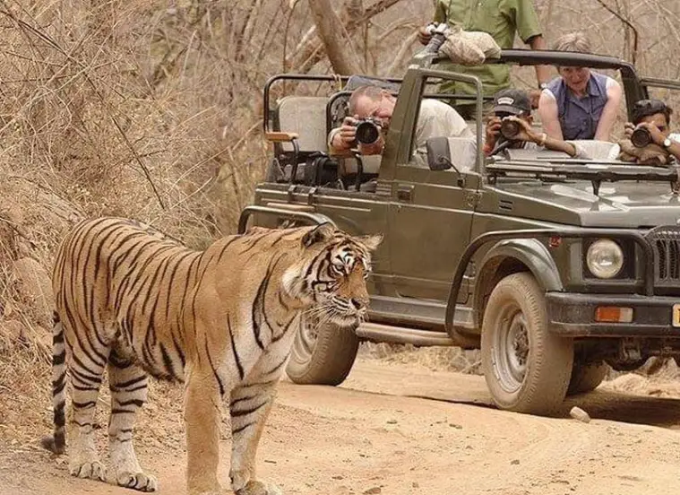Khatu to Ranthambore Taxi